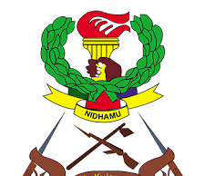 Orodha ya Shule za Sekondari za Jeshi Tanzania