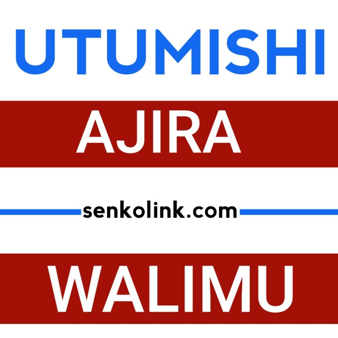 Mwalimu Daraja III C – Hisabati kutoka MDAs & LGAs, 2026