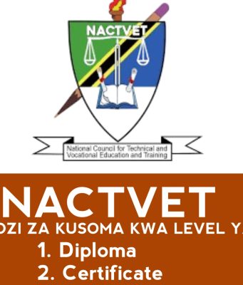 Buhemba Community Development Training Institute – Butiama