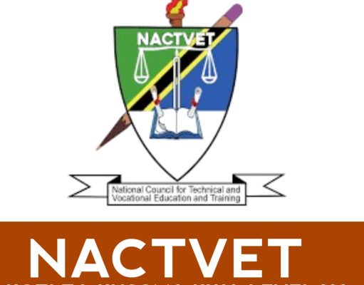 Buhemba Community Development Training Institute – Butiama